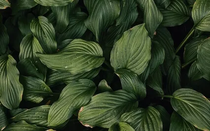 Three Minute Breathing Space