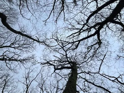 Three Minute Breathing Space Meditation