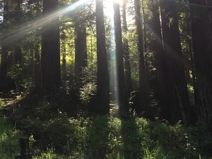 Three Minute Breathing Practice