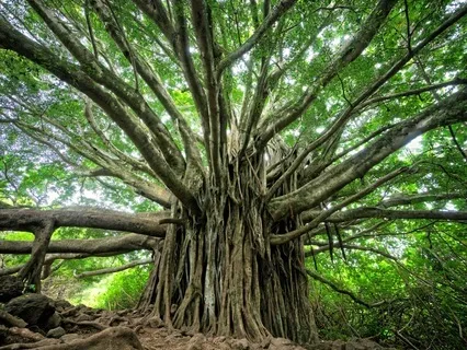 Three-Minute Breathing Space