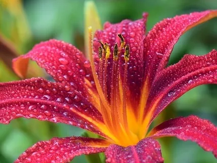 Three Minute Practice