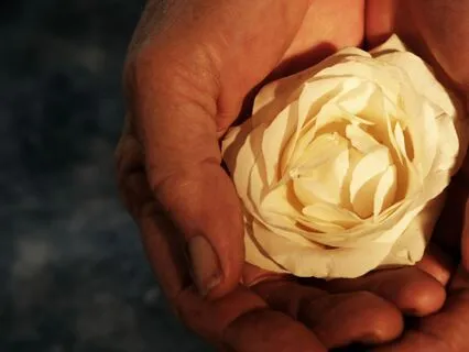 Three Minute Meditation - Cherish