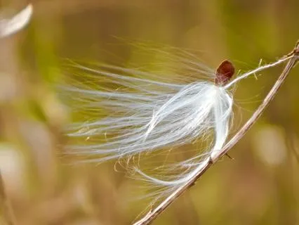 Three Minute Sound Healing Reset