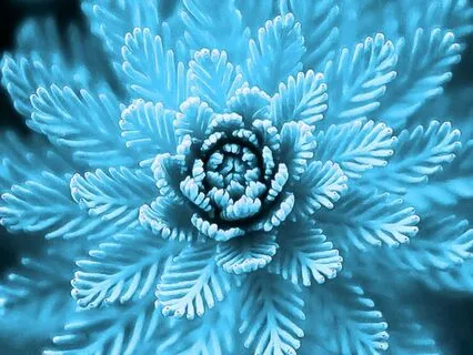 Three Minute Restoration - 174 Hz Calming Frequency