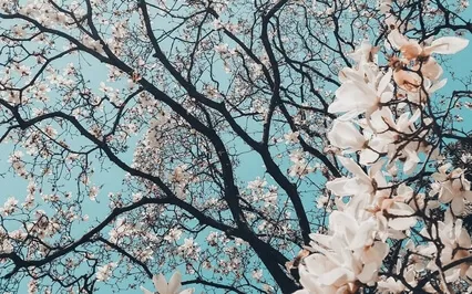 Three Minute Wellbeing Space: Introduction