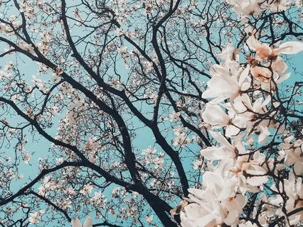 Three Minute Wellbeing Space: Meditation