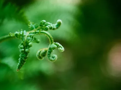 Three Minutes Breathing Space