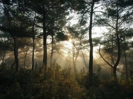 Three Minutes in Nature