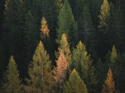 Three Minutes Of Hope : Finding Hope During Difficult Times