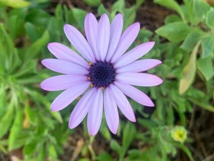 Three Minutes Of Music