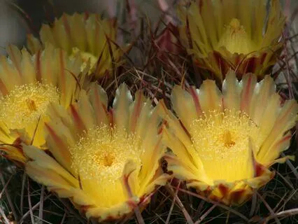 Three Minutes To Just Let It Go