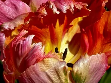 Three Myths About Awakening 覚醒に関する３つの誤解