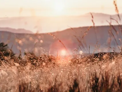 Three-Part Breath Awareness (With Music)