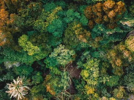 Yogic Breath Practice