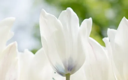 Three Personal Lessons On Healing 