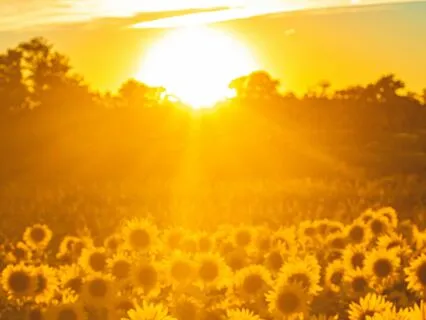 Three Poems To Inspire Wonder