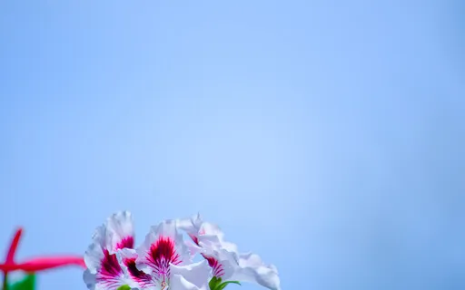 Three Powerful Affirmations To Catalyst Your Vibration