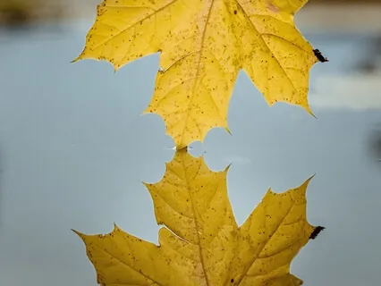 Three Simple Tips For Meditation Practice