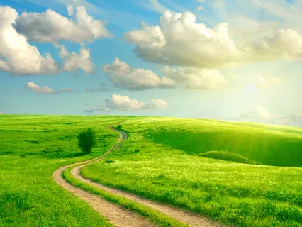 Three-Step Breathing Space