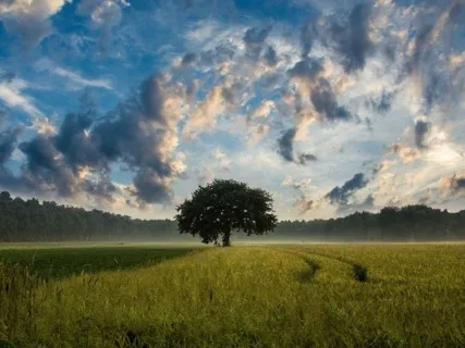 Three Step Breathing Space