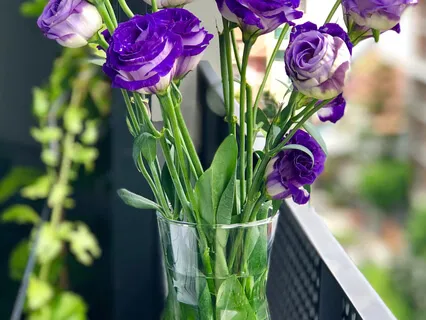 Three Steps Are Dharana, Dhyana And Samadhi