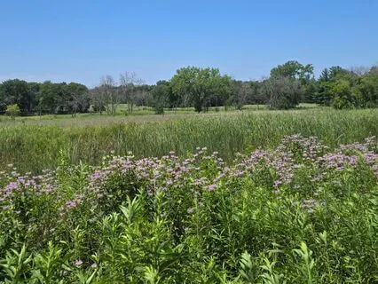 Three Things You Are Grateful For Today