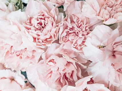 Three Uncommon Ways To Thrive With Food