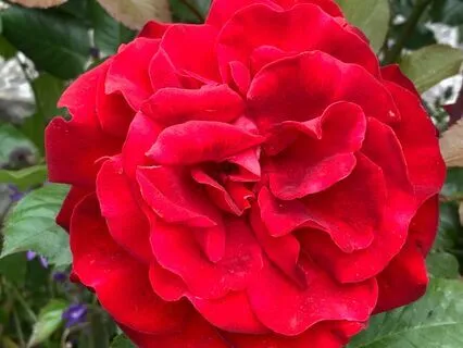 Three Ways Your Base Chakra Impacts Your Business Success