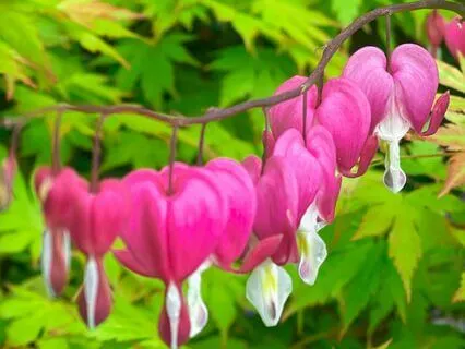 Three Ways Your Heart Chakra Impacts Your Business Success