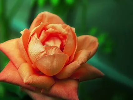 Three Ways Your Sacral Chakra Impacts Your Business Success