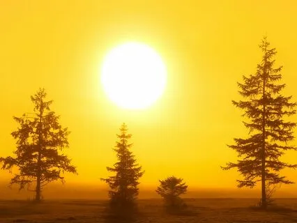 Three Ways Your Solar Plexus Impacts Your Business Success