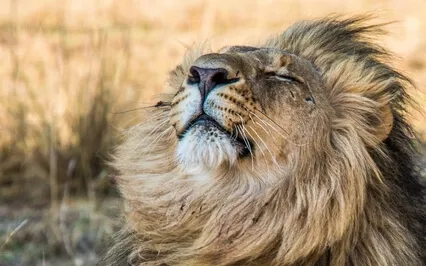 Three Worlds Meditation - Middle world - Kaypacha