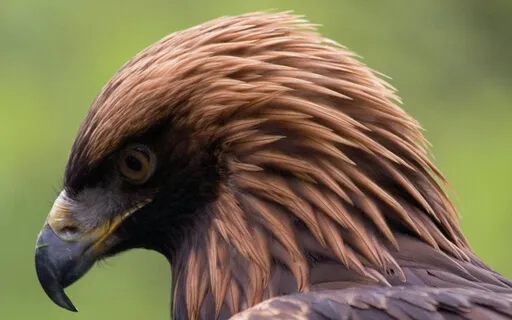 Three Worlds Meditation - Upper World - Hanapacha