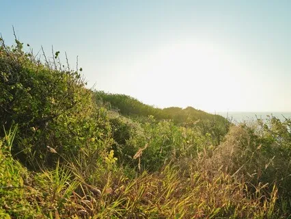 Threefold Aspirations Of Non-Violence