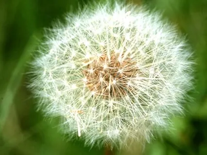 Þriggja þrepa andrými