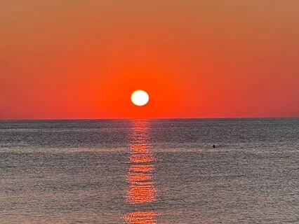 Thrive: Honoring What Was (Track 2)