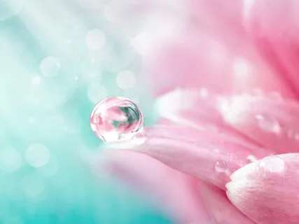 Thriving As An Empath 