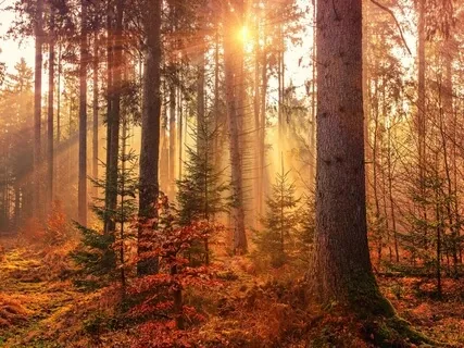 Thriving: Creating Abundance