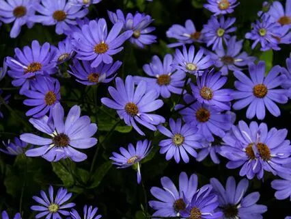 Throat Chakra (90 Min Rav Drum Music For Yoga Or Meditation)