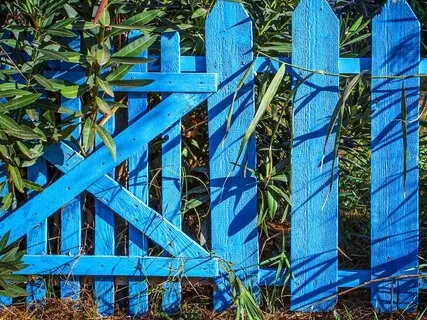 Throat Chakra Activation