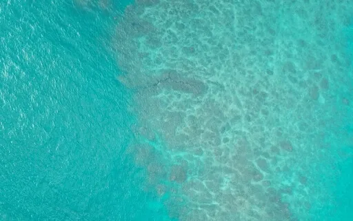 Throat Chakra Activation