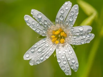 Throat Chakra Activation For Healing Your Truth