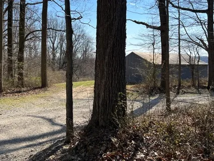 Throat Chakra Affirmations With Music