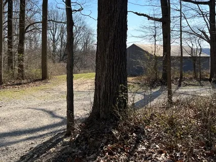 Throat Chakra Affirmations Without Music