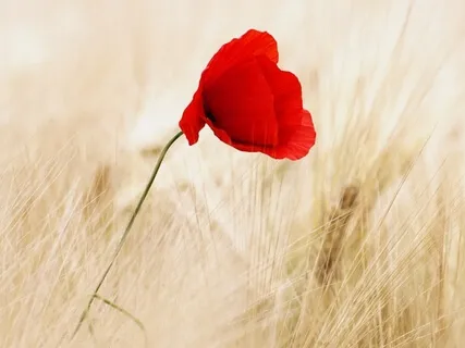 Throat Chakra Affirmations 