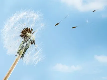 Throat Chakra Clearing And Activating Meditation