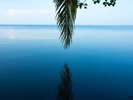 Throat Chakra Clearing For You And Your Business