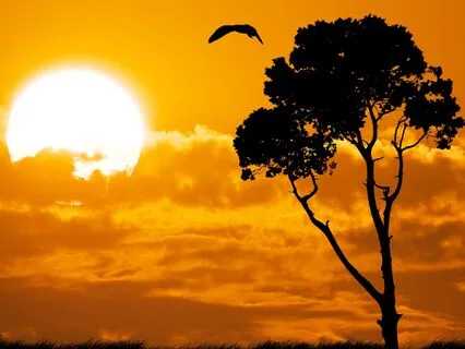 Throat Chakra Communication 141.27 + 384 + 741 Hz (Mid-Beta)