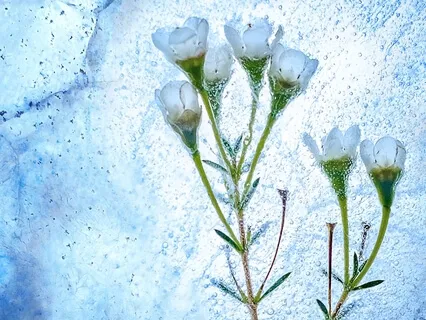 Throat Chakra Crystal Singing Bowl With Gentle Rain 432hz