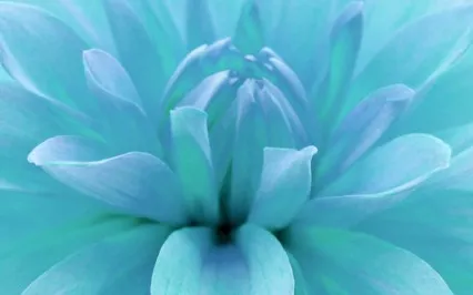 Throat Chakra Guided Meditation